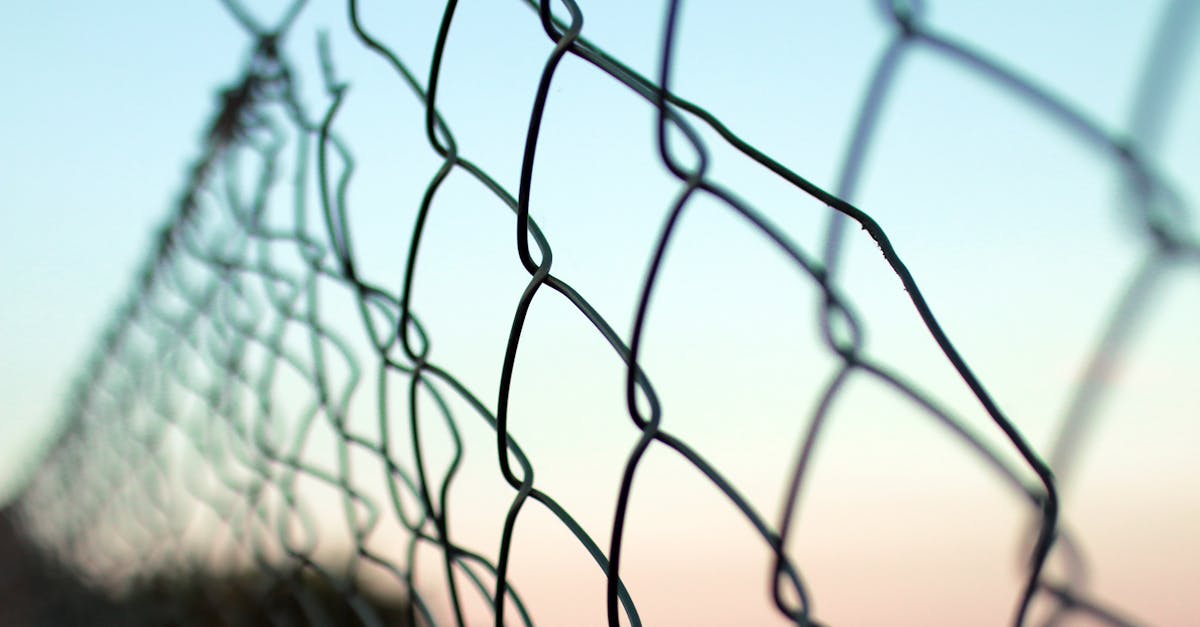 传奇之梦合击版：怎样详情下载教程花心APP