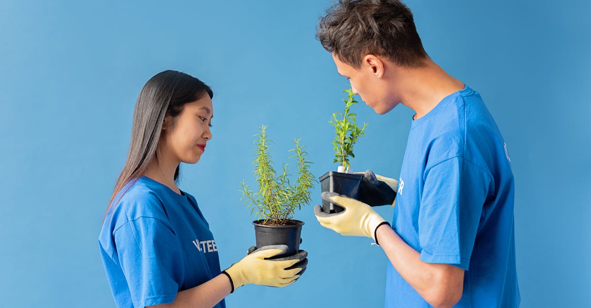 各种国外VX号:实名账号能否解决网络身份认证问题?