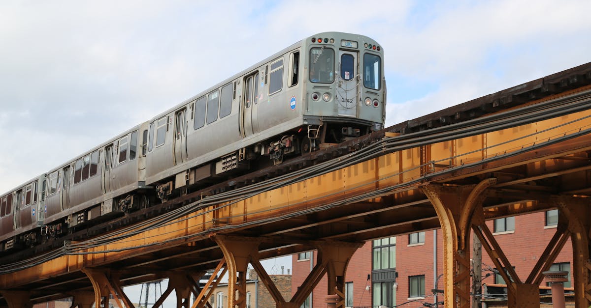 蛋仔派对：辛集代理注册公司