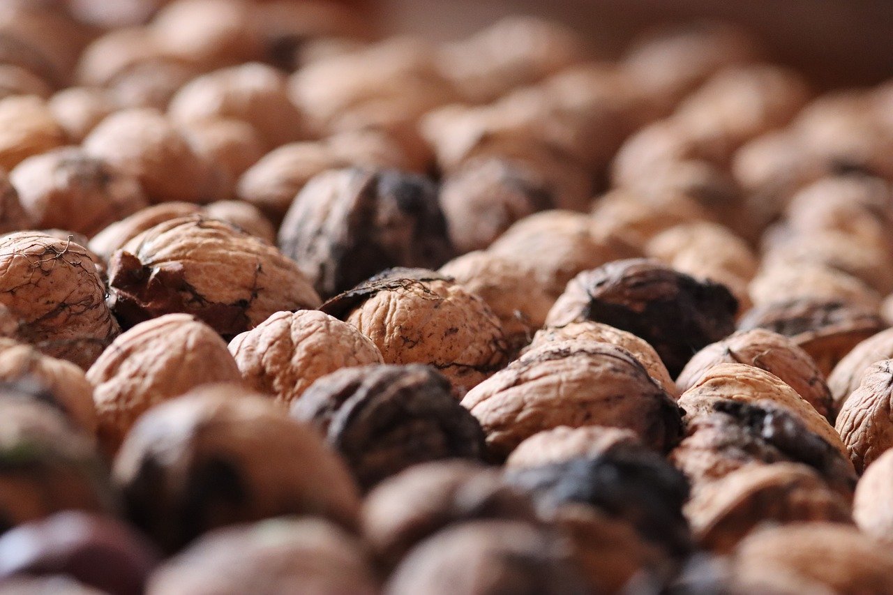 解读DDOS攻击的实现- 鱼鹰APP官方详情下载教程