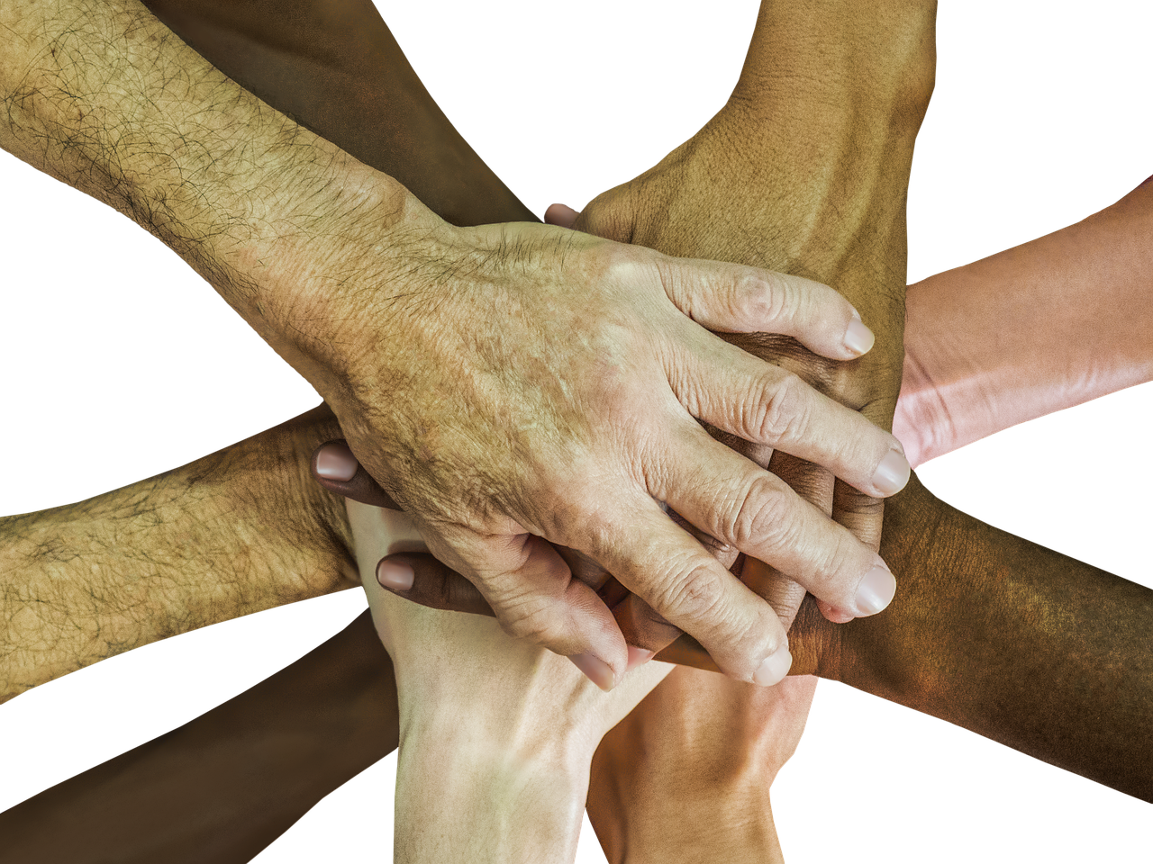 简信实名账号：详情下载教程党建云app