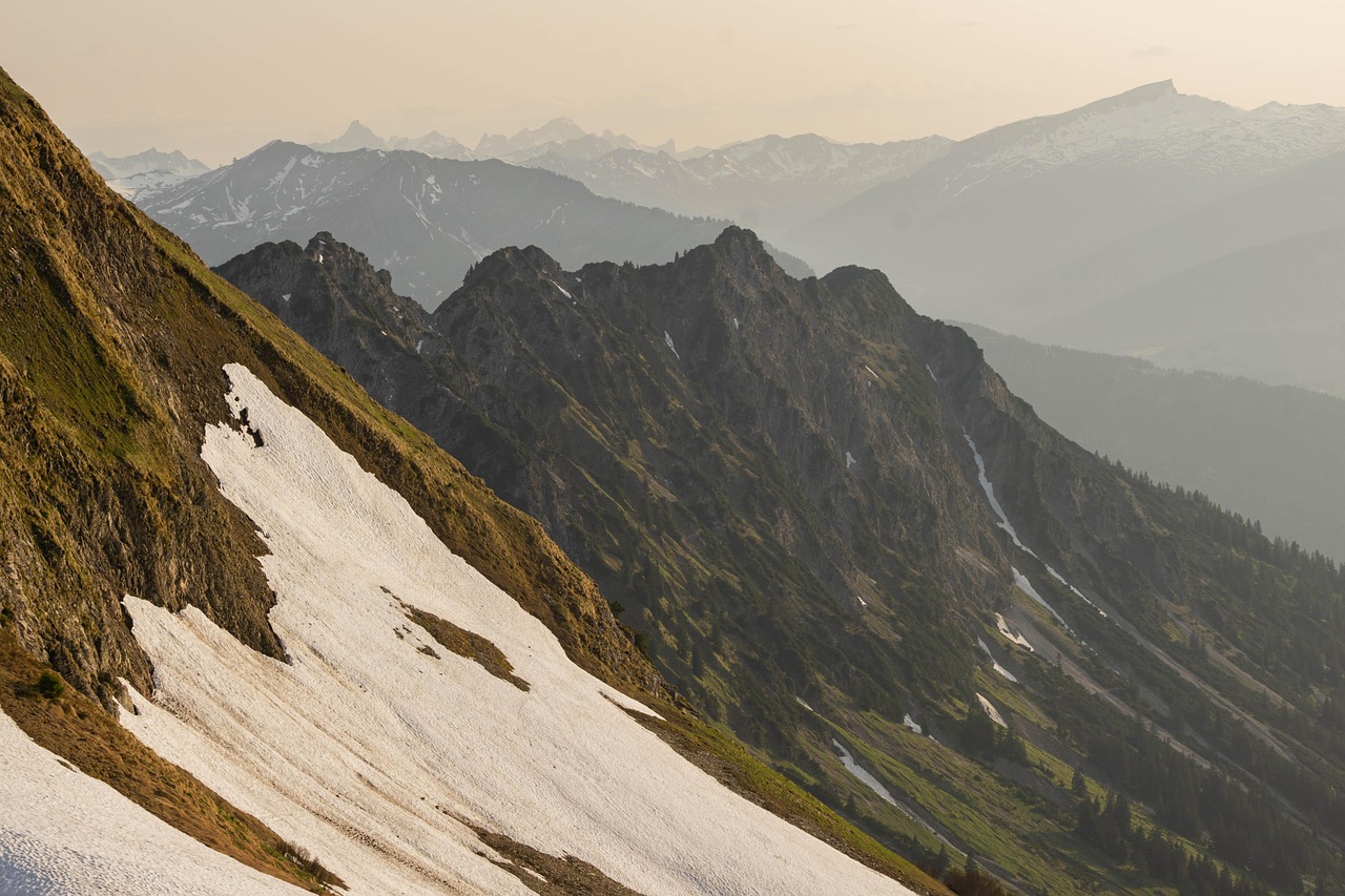 如何在互联网上使用匿名浏览器