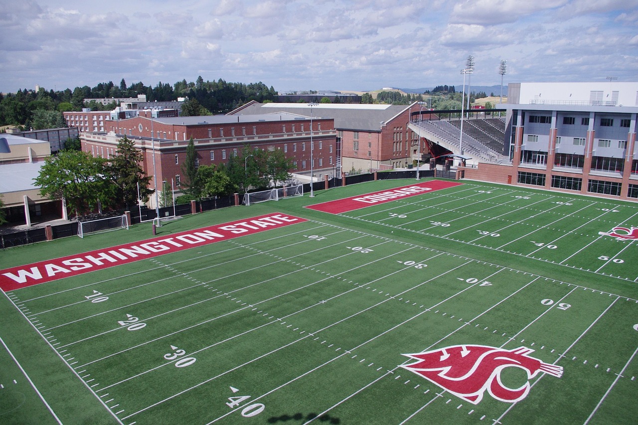 又拍云实名账号:永嘉公司代理注册要求什么