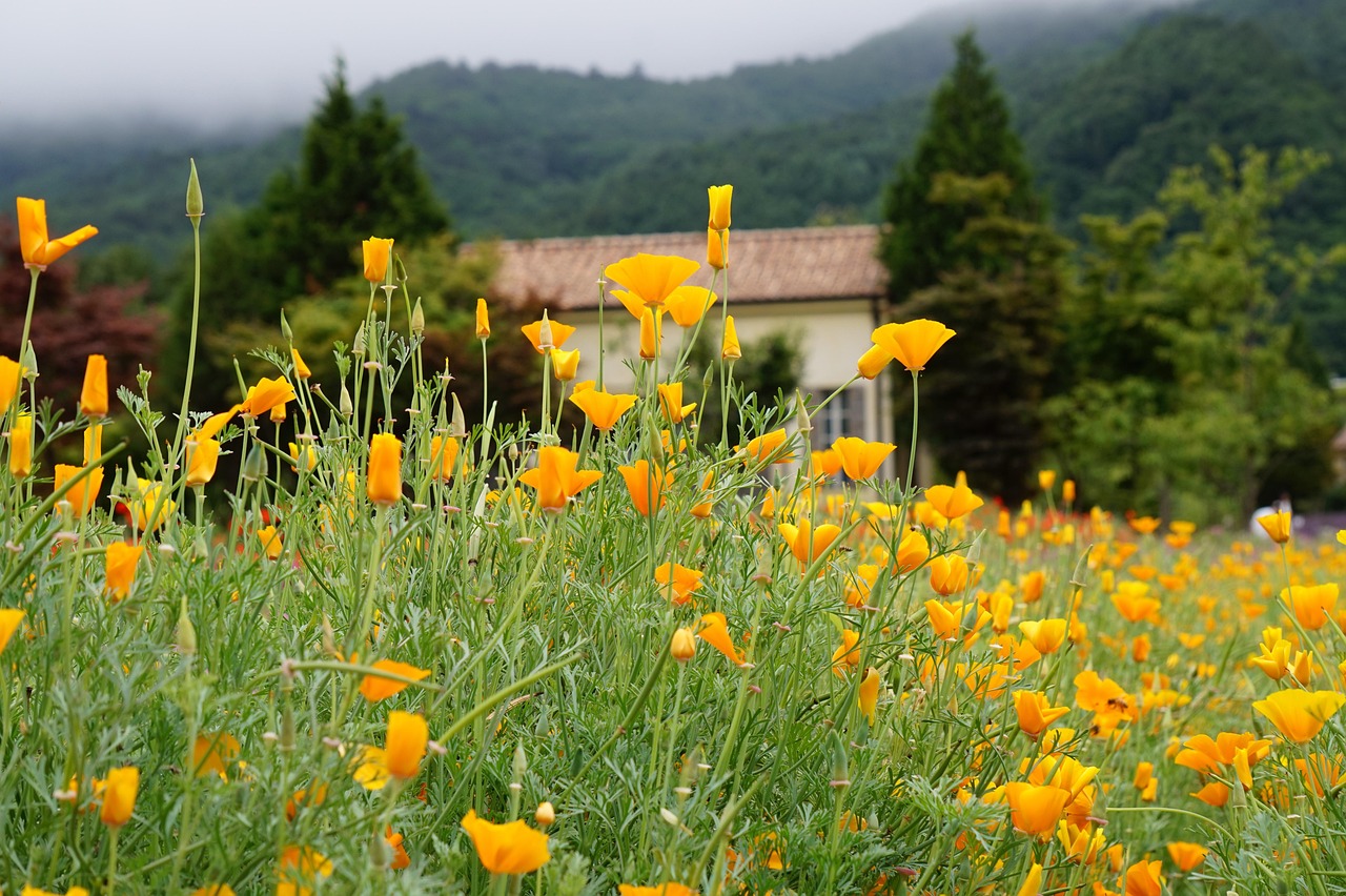 微信号码批发：开平企业代理服务平台