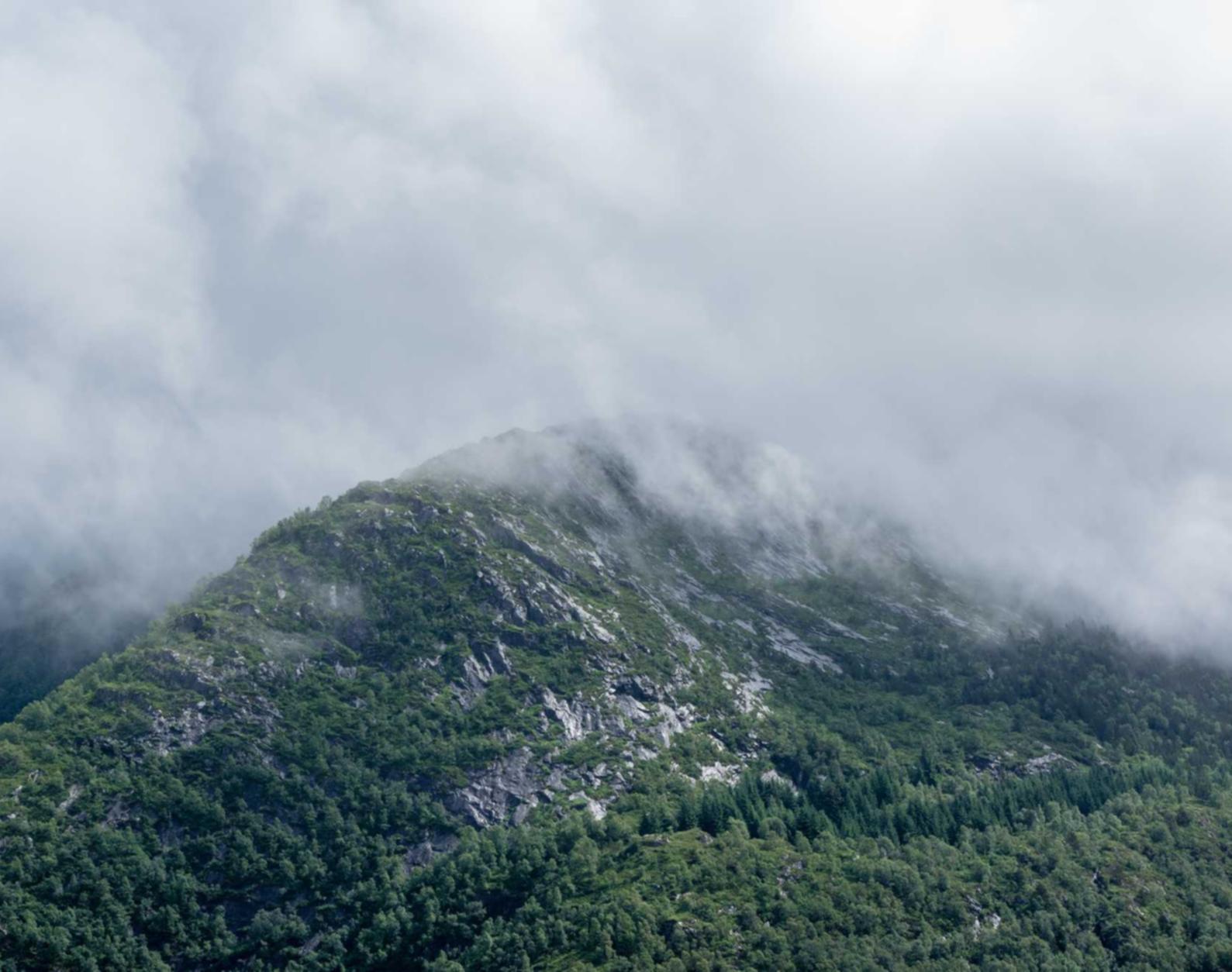 豪利时葡萄双爆珠：百合网注册账号登陆不了