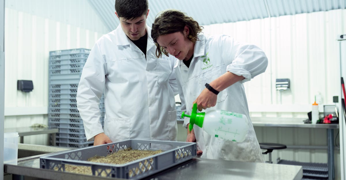 闲鱼实名账号：如皋代理企业注册流程