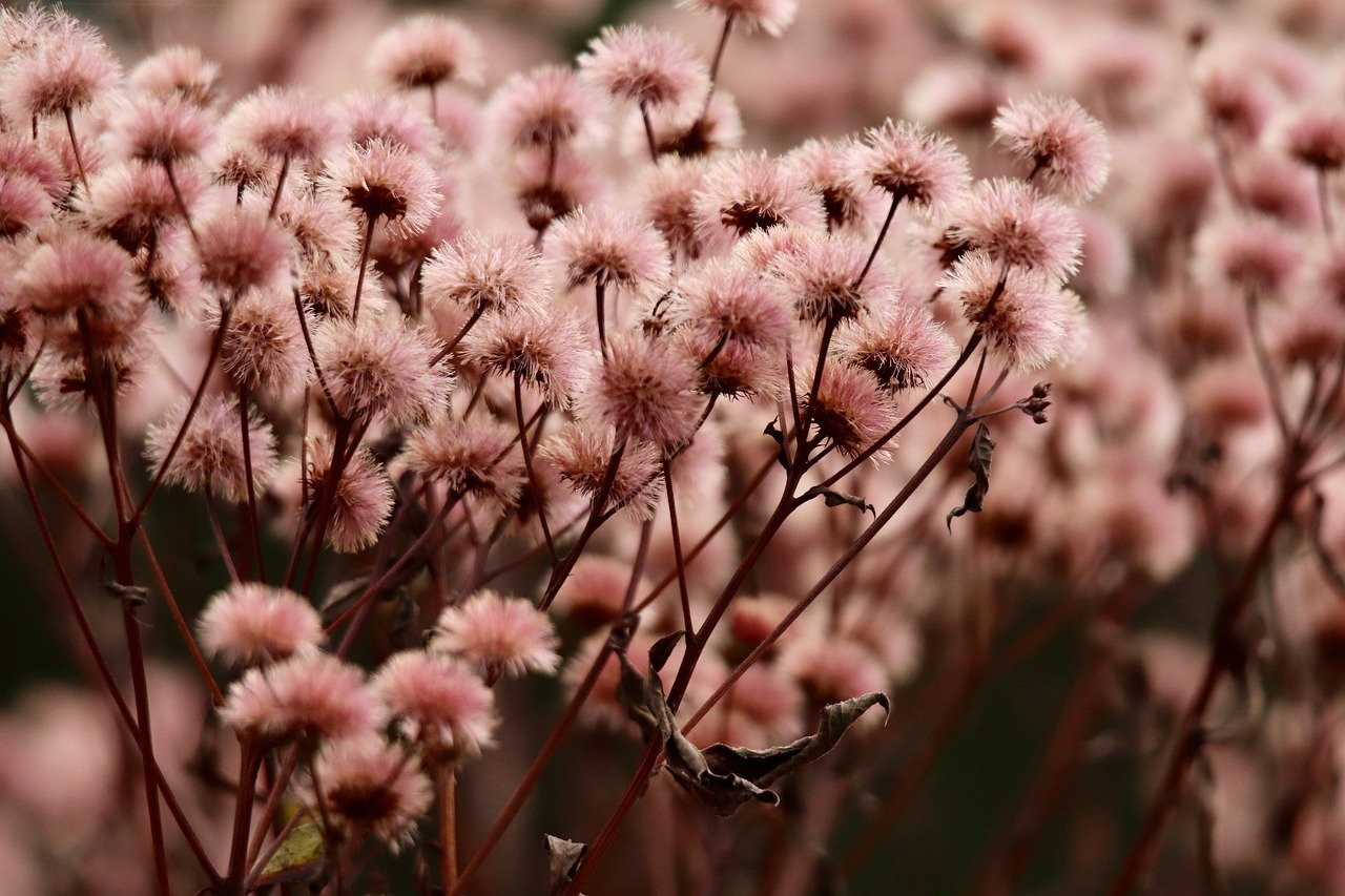 魔镜物语：淳化代理注册公司网